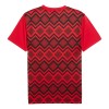 Maillot Foot Égypte Pre-Match 2025
